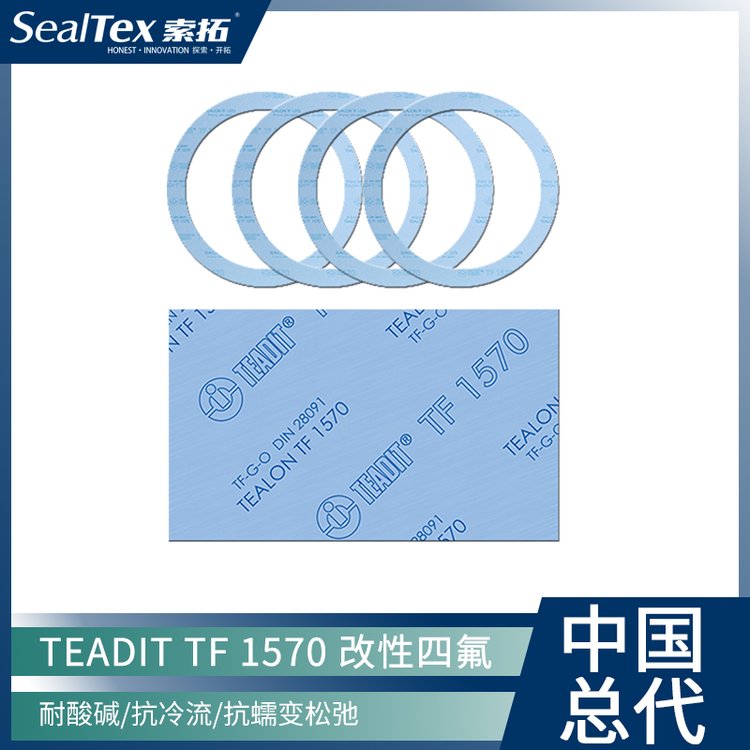 奧地利泰迪TEADITTF1570造紙送料機\/蒸發(fā)器閥門及旋轉泵用密封墊