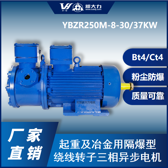 新大力起重隔爆型繞線轉(zhuǎn)子三相異步電機(jī)YBZR250M2-8-37KW粉塵防爆