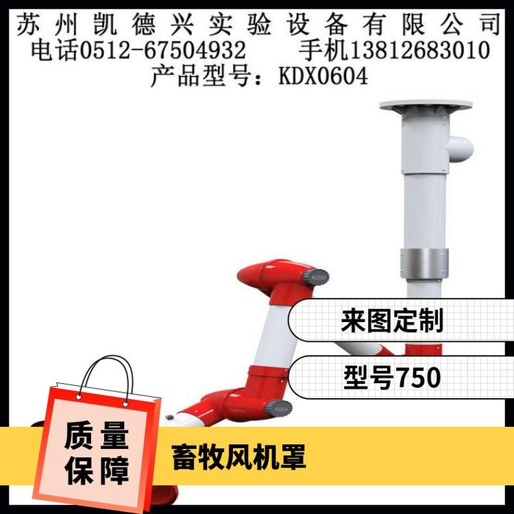 來圖定制美觀耐用安裝便捷型號KDX0604吸頂式萬向抽風(fēng)罩