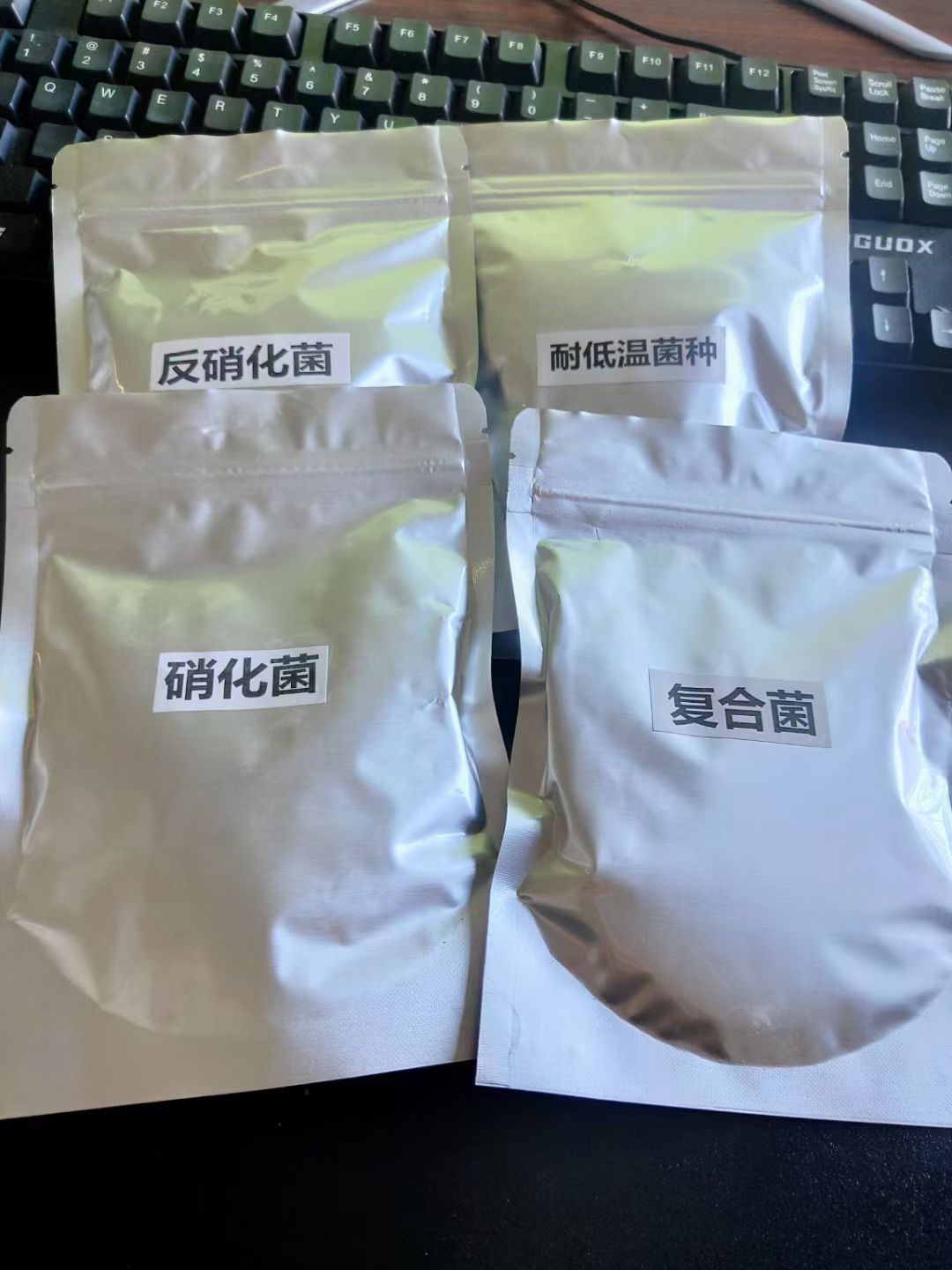 中科凈源污水處理固體微生物反硝化菌總氮降解菌種現(xiàn)貨直發(fā)