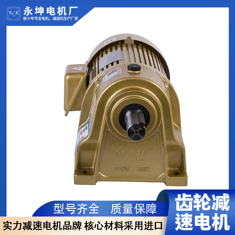 永坤精密機(jī)電立式齒輪減速電機(jī)200W品質(zhì)保證