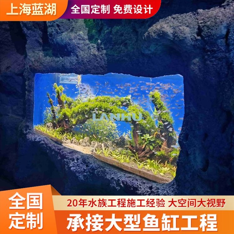 藍湖水族工程施工專業(yè)水族館勘測設計修建造景維生系統(tǒng)建設