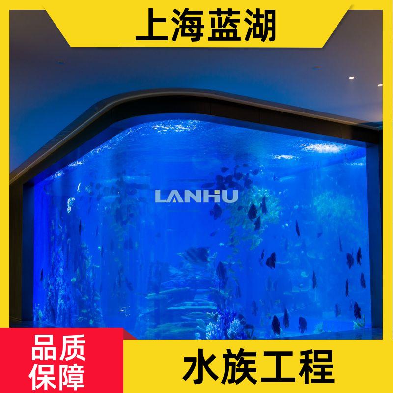 藍(lán)湖海洋館規(guī)劃無邊際游泳池承接水族工程多年行業(yè)經(jīng)驗