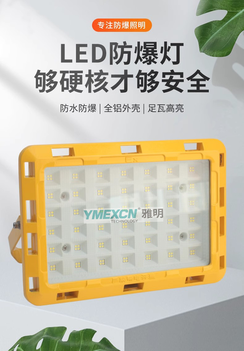 LED防爆燈化工廠房車間100W150W倉(cāng)庫(kù)加油站200W300W投光泛光燈