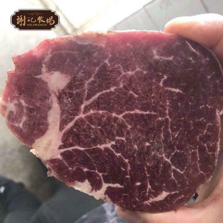 謝記食品牛里脊冷凍生鮮牛肉菲力牛排原切里脊牛柳