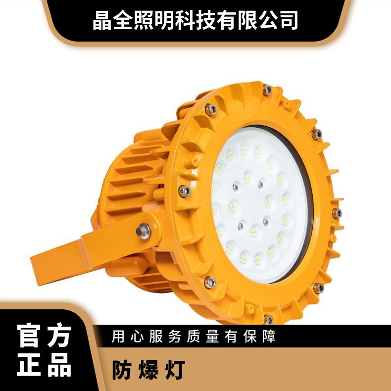 LED100WV÷IP65־ExdIICT6GB