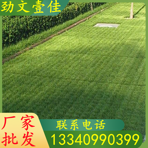 植草地坪經(jīng)久耐用防腐蝕強抗壓市政鋪路用井字生態(tài)植草磚廠家批發(fā)