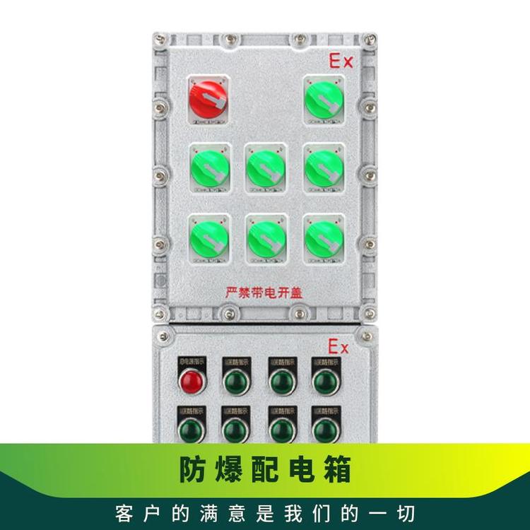 防爆控制箱-檢修箱照明動力配電型號BXK電壓220V380